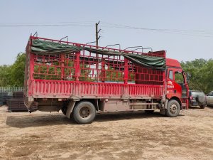 金用護欄2021年4月29日鋅鋼飄窗護欄發(fā)貨！